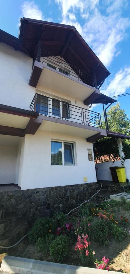 Casa Silvia Hotell Căpăţîneni-Ungureni Eksteriør bilde