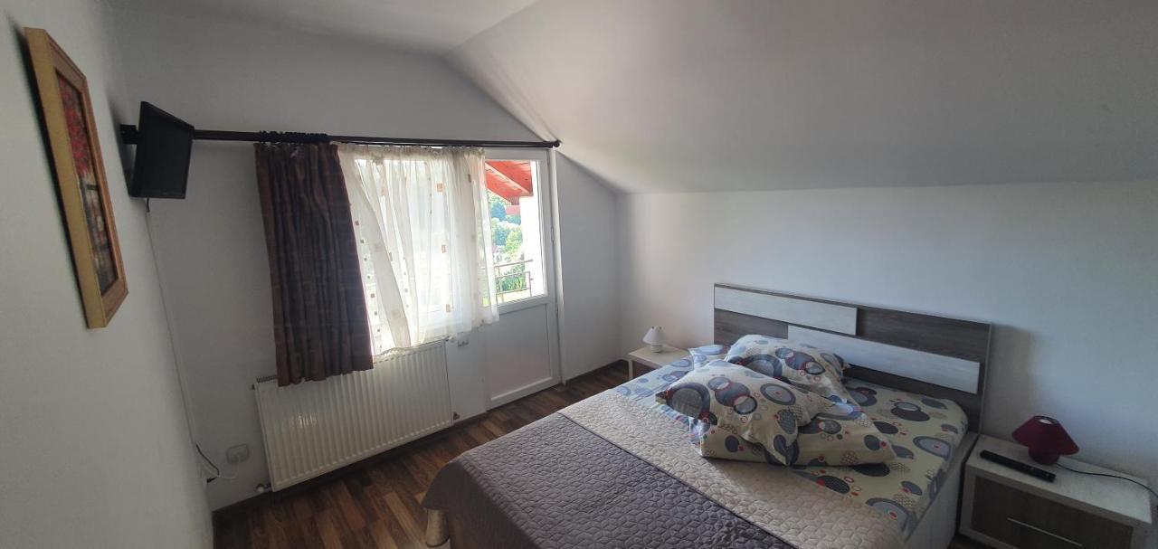 Casa Silvia Hotell Căpăţîneni-Ungureni Eksteriør bilde