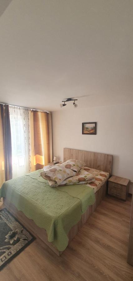 Casa Silvia Hotell Căpăţîneni-Ungureni Eksteriør bilde