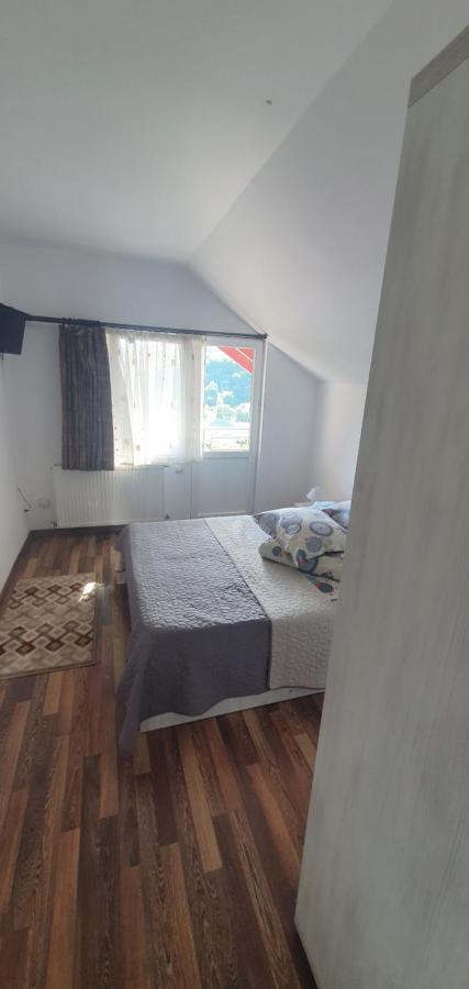 Casa Silvia Hotell Căpăţîneni-Ungureni Eksteriør bilde
