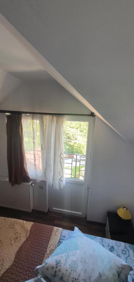 Casa Silvia Hotell Căpăţîneni-Ungureni Eksteriør bilde