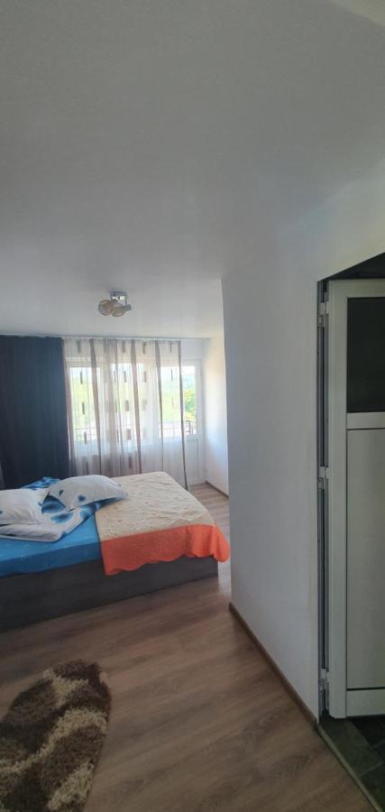 Casa Silvia Hotell Căpăţîneni-Ungureni Eksteriør bilde