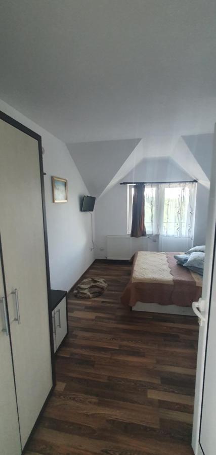 Casa Silvia Hotell Căpăţîneni-Ungureni Eksteriør bilde