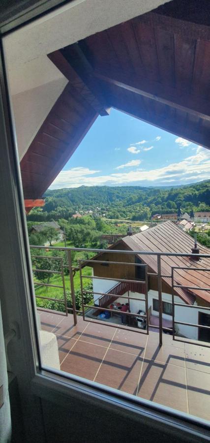 Casa Silvia Hotell Căpăţîneni-Ungureni Eksteriør bilde